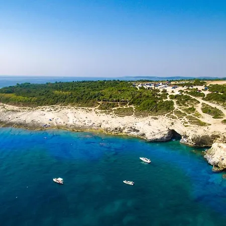 Light Медулин